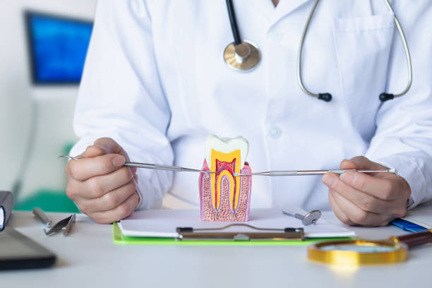 Trusted NC Emergency Dental Service Experts